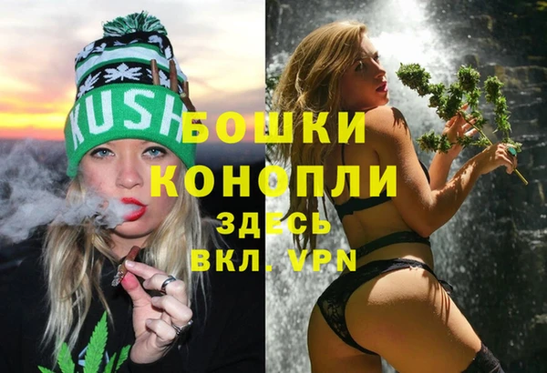 стафф Надым