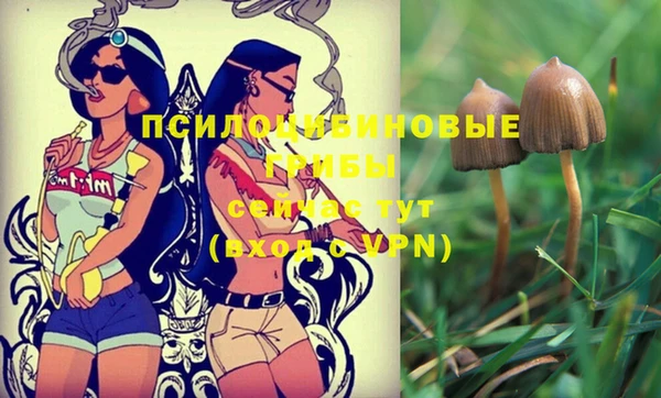 спиды Абдулино