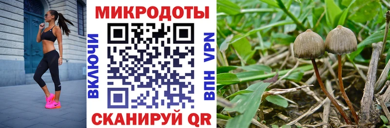 Галлюциногенные грибы мицелий  гидра tor  Шимановск 